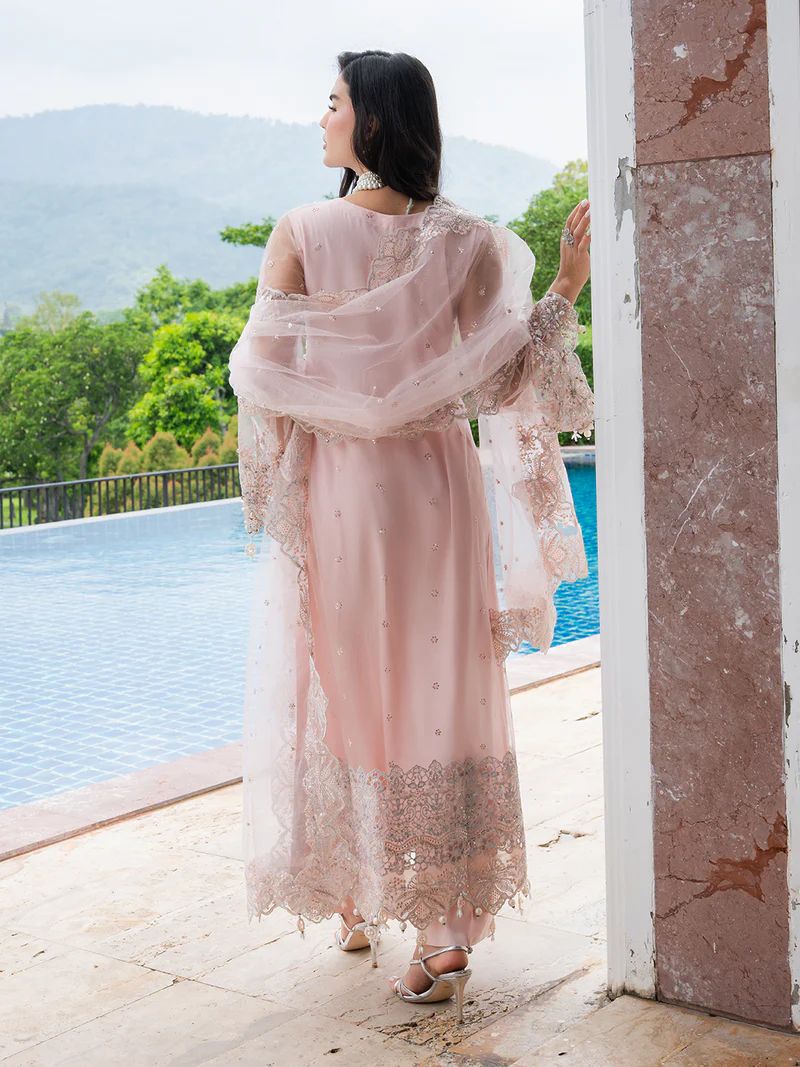 Mona 3pc Handworked Net Suit with Trousers – Meher3
