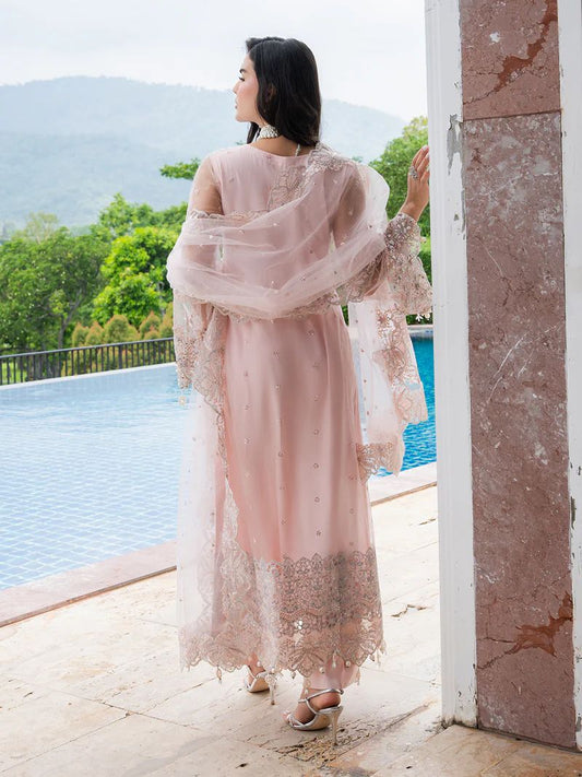 Mona 3pc Handworked Net Suit with Trousers – Meher3