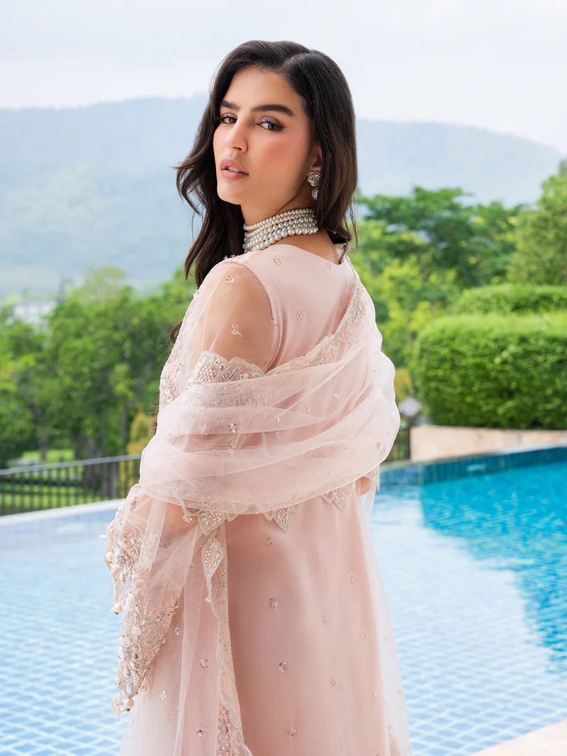 Mona 3pc Handworked Net Suit with Trousers – Meher3