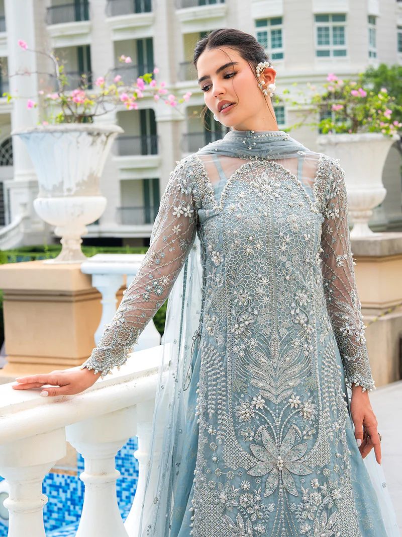 Mona 4pc Handworked Organza Suit with Viscose Trousers – Meher5
