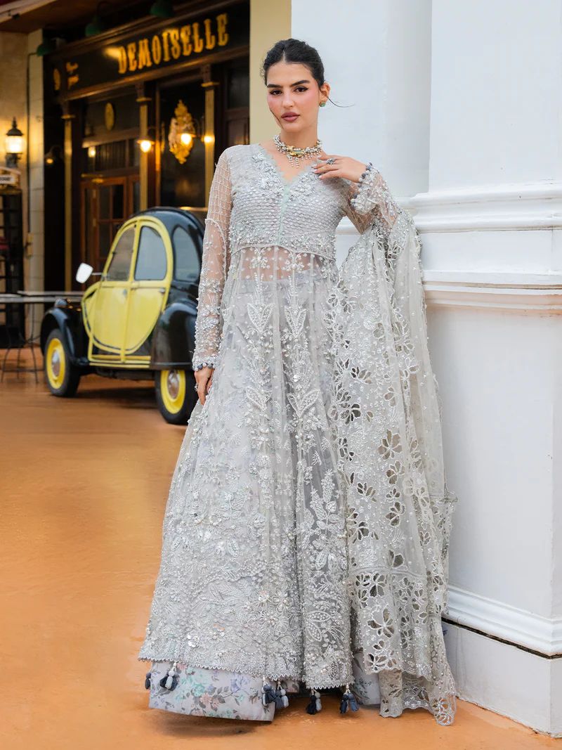 Mona 4pc Handworked Net Suit with Printed Sharara – Meher7