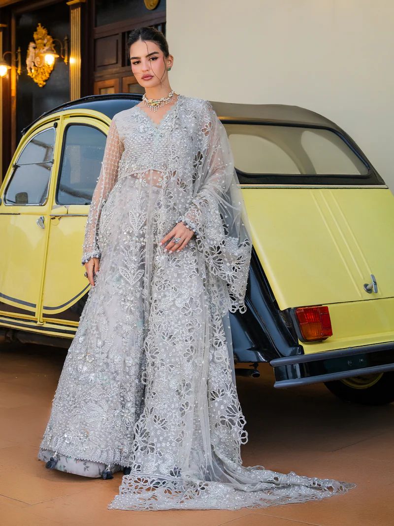 Mona 4pc Handworked Net Suit with Printed Sharara – Meher7