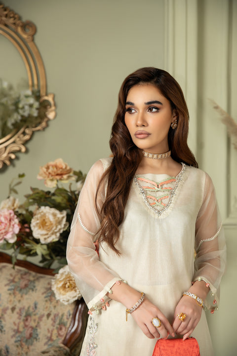 2pc Chiffon Handwork Cape by Ain 28