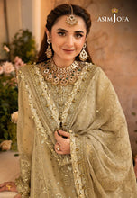 ASIM JOFA Khwab-e-Naubahar AJNB04