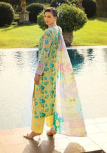 ELAF Chikankari Lawn MISTY SERENADE ECT-06B