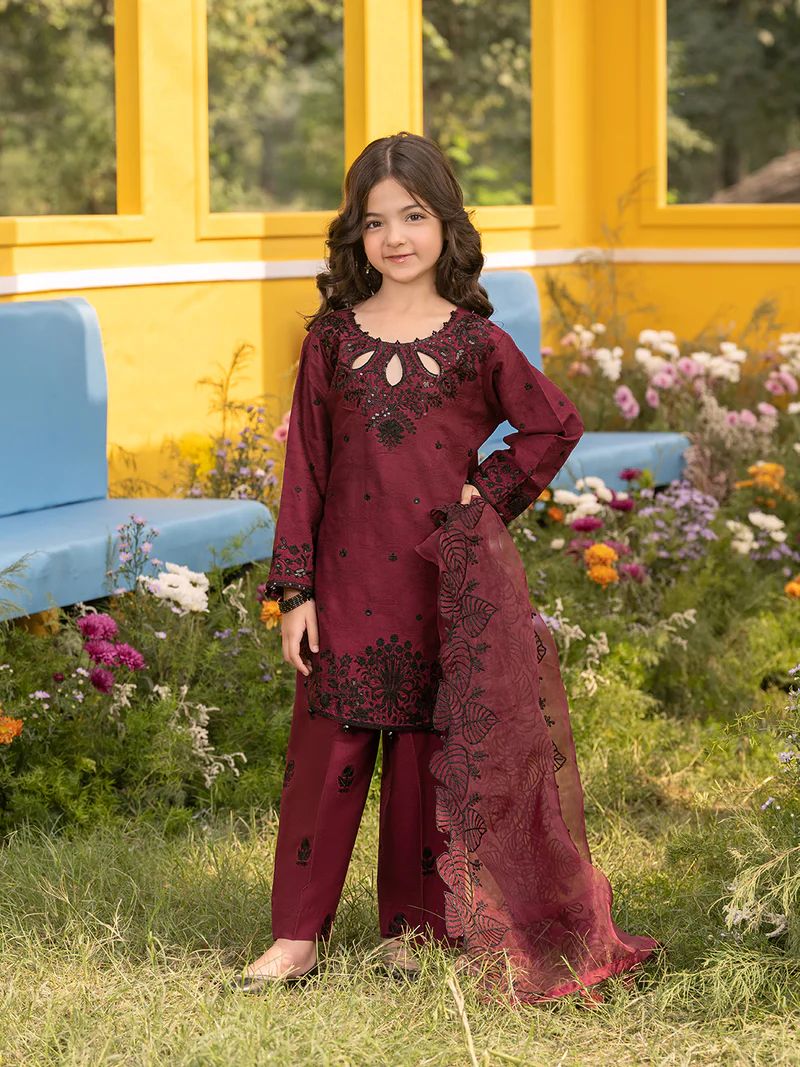 Hania’s Eid Twinning Charm by Mona – Berry Chikankari Jacquard HEC15