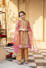Arwah Organza Luxury Formal Dress For Women and Girls VA2