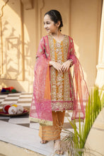 Arwah Organza Luxury Formal Dress For Women and Girls VA2