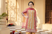 Arwah Organza Luxury Formal Dress For Women and Girls VA2