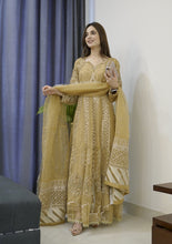 Organza Formal Handwork Long Frock Y2