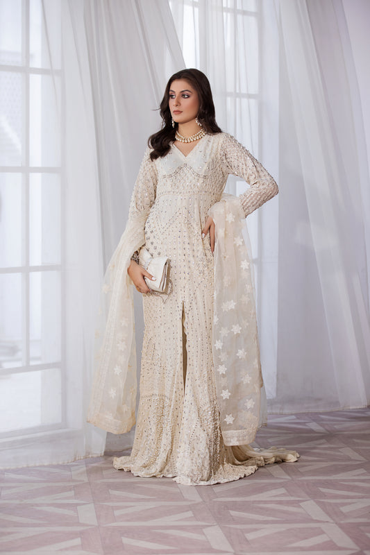 Luxury Formal Handwork Gown Dress by Aroosh AP1