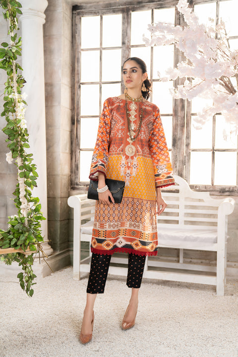 Ready To Wear 2 Pcs WInter Khadar Dress by AABPARA 02