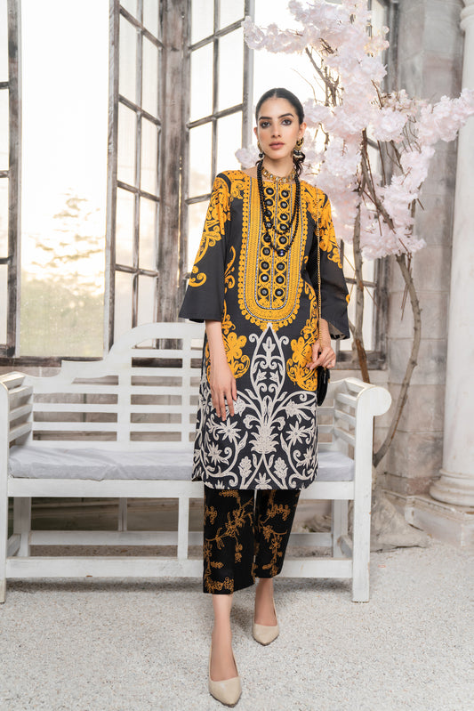 Ready To Wear 2 Pcs WInter Khadar Dress by AABPARA 03