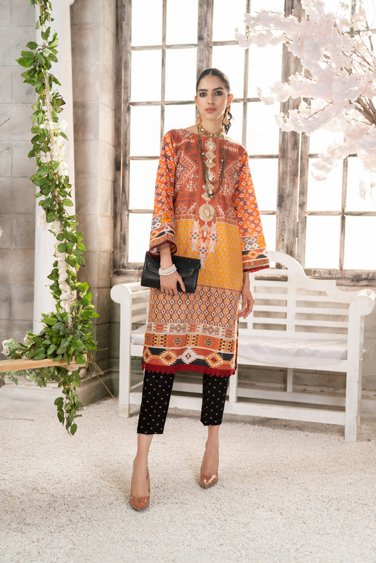 Ready To Wear 2 Pcs WInter Khadar Dress by AABPARA 02