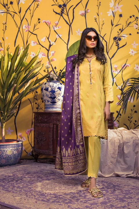Ready to Wear Banarsi Printed  Lawn Collection by Zs Textiles B5-1