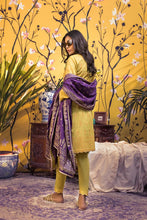 Ready to Wear Banarsi Printed  Lawn Collection by Zs Textiles B5-1