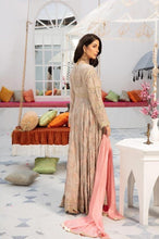 Simrans Ivana Chiffon Collection