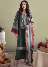 Limelight Winter Ready to Wear Dress 08