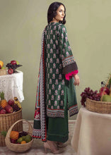 Limelight Winter Ready to Wear Dress 08