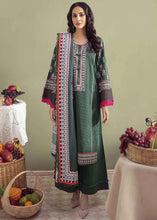Limelight Winter Ready to Wear Dress 08