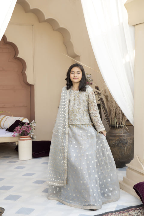 Mona Kids Net embroidered lehnga 03