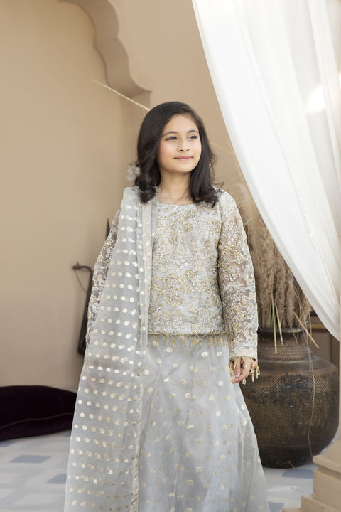 Mona Kids Net embroidered lehnga 03