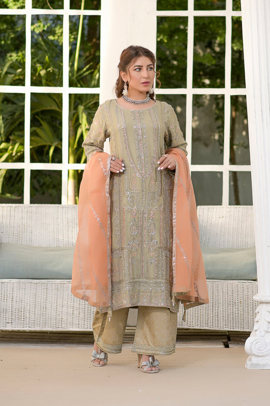 3pc Embroidered Chiffon Dress 05