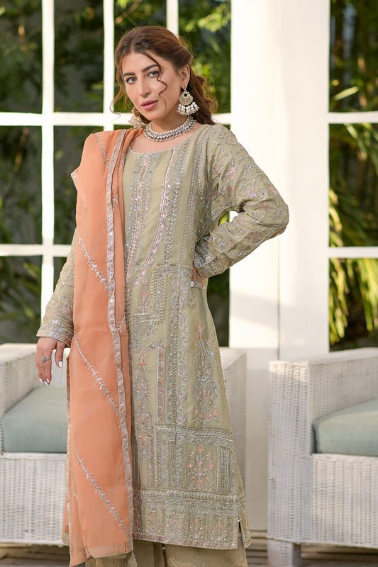 3pc Embroidered Chiffon Dress 05