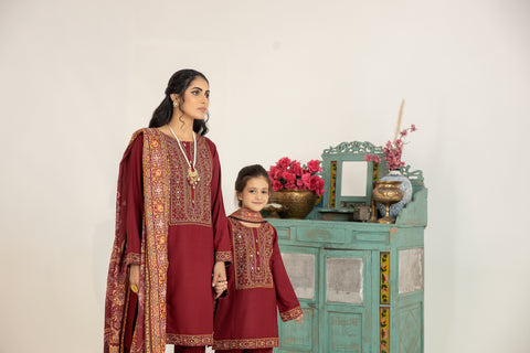 Mona Embroidered Dhanak Dress 07