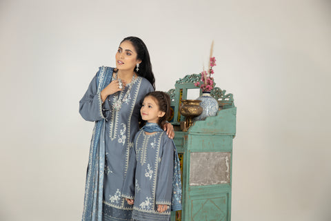 Mona Embroidered Dhanak Dress 09