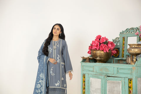 Mona Embroidered Dhanak Dress 09