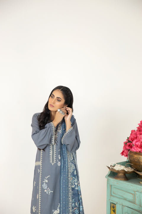 Mona Embroidered Dhanak Dress 09