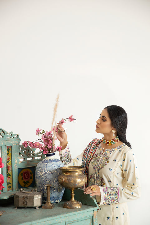 Mona Embroidered Dhanak Dress 01