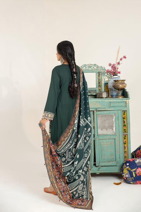 Mona Embroidered Dhanak Dress 10
