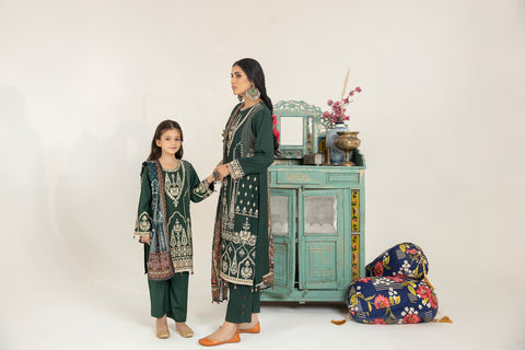 Mona Embroidered Dhanak Dress 10