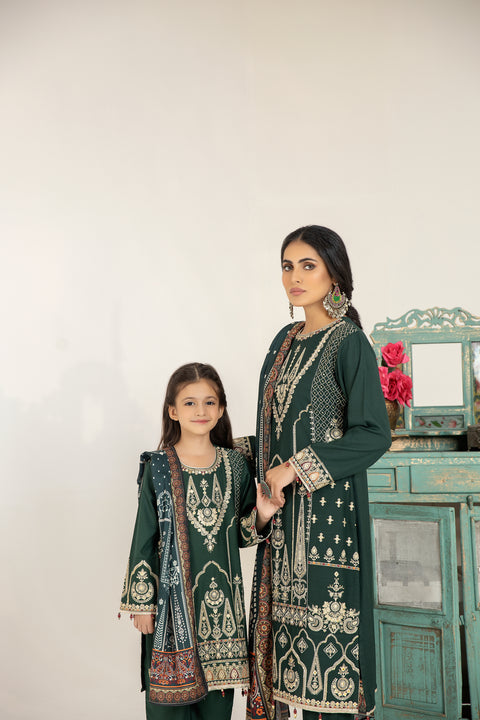 Mona Embroidered Dhanak Dress 10