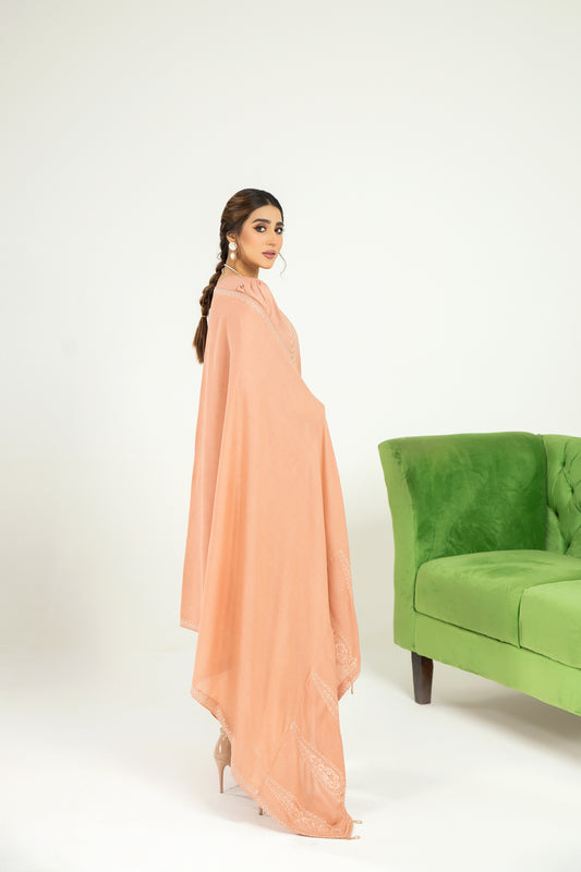 Sakeena Hasan 3pc Karandi Dress 07