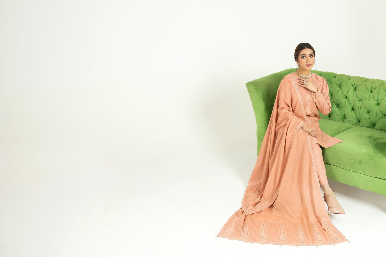 Sakeena Hasan 3pc Karandi Dress 07