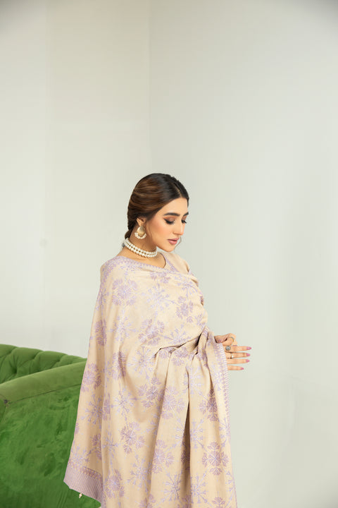 Sakeena Hasan 3pc Karandi Dress 11