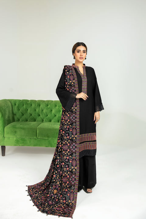 Sakeena Hasan 3pc Karandi Dress 03