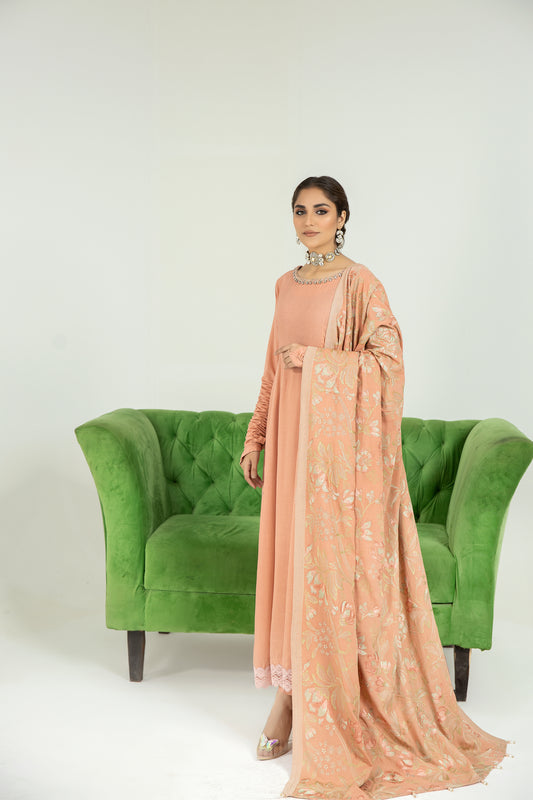 Sakeena Hasan 3pc Karandi Dress 09