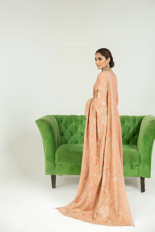 Sakeena Hasan 3pc Karandi Dress 09