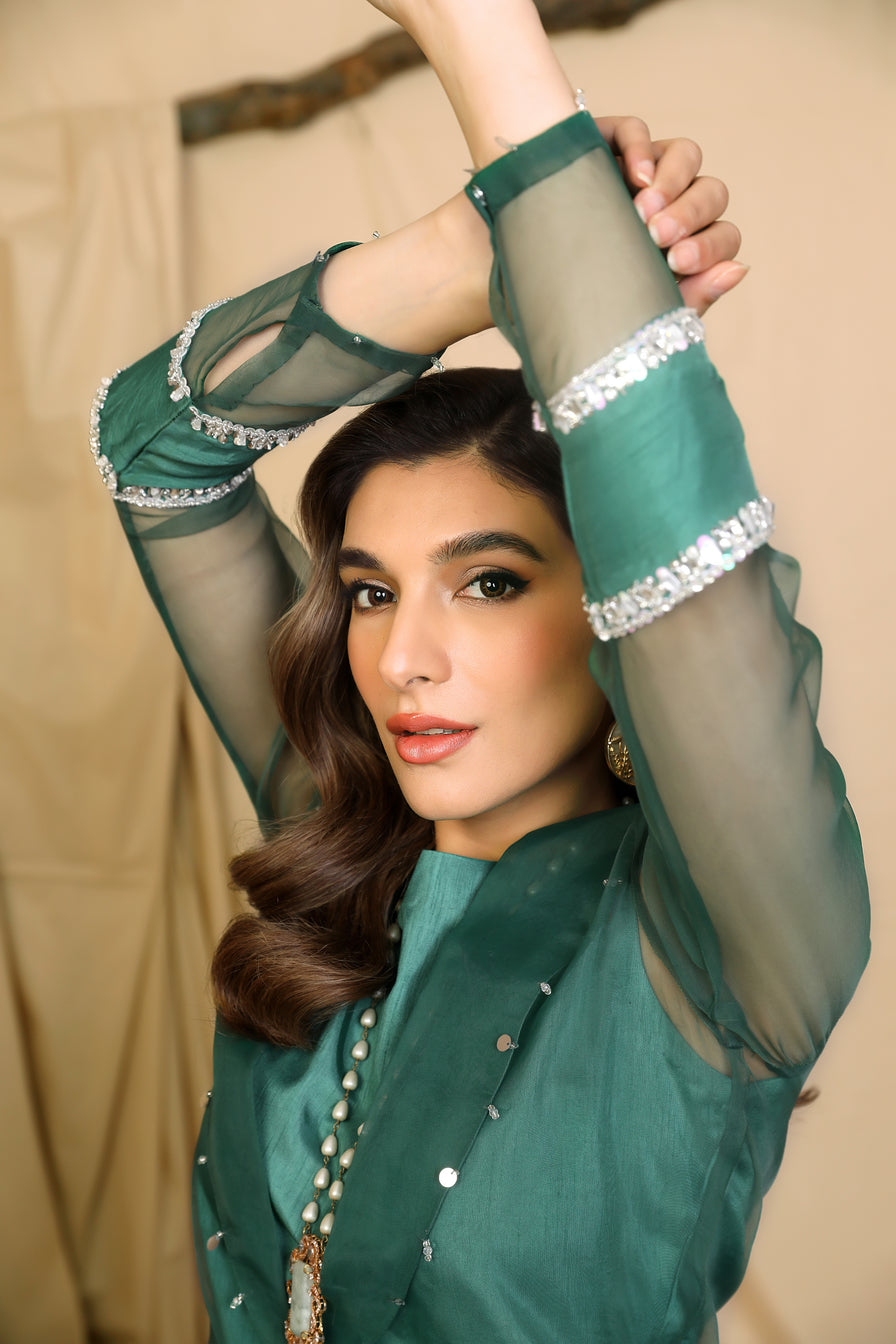 Premium Luxury Organza Gown by Ain 11