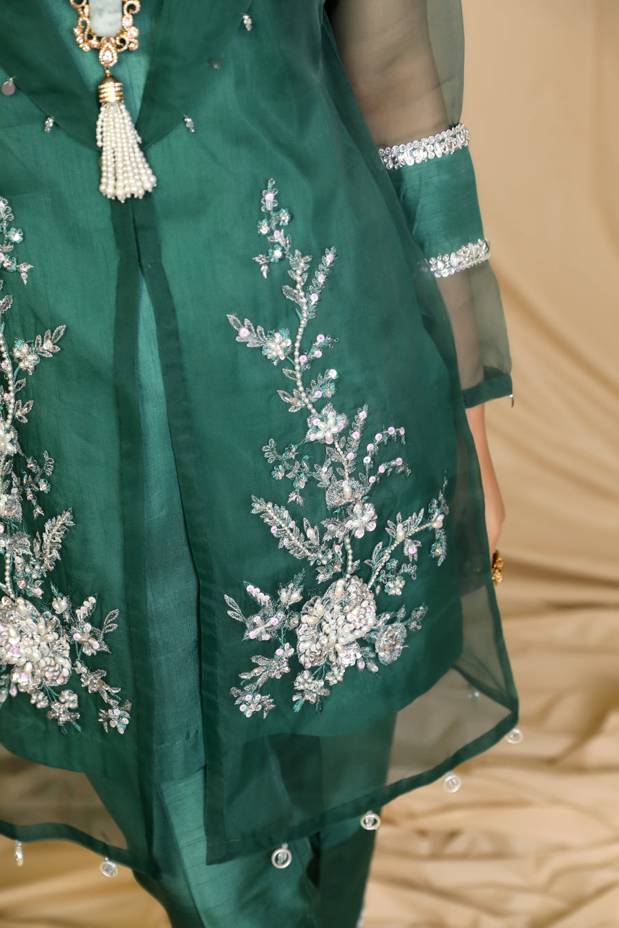 Premium Luxury Organza Gown by Ain 11