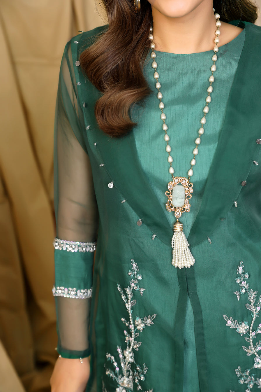 Premium Luxury Organza Gown by Ain 11