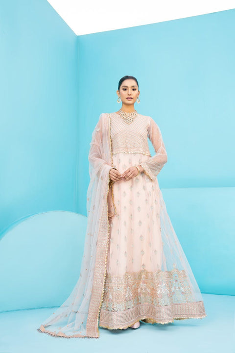 Ready To Wear Net Formal Collection by Aleezay 10