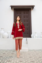 Velvet Ready to Wear 2 Pcs Collection by Gulwarun 12