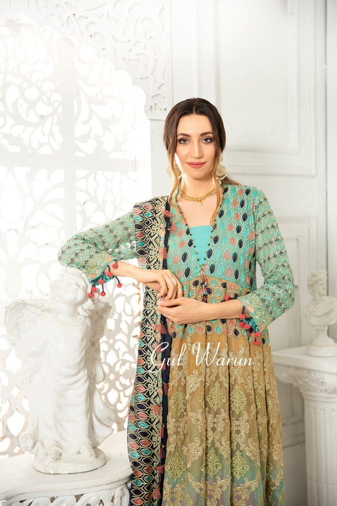 Gulwarun Formal Ready to Wear Chiffon Embroidered Dress 06