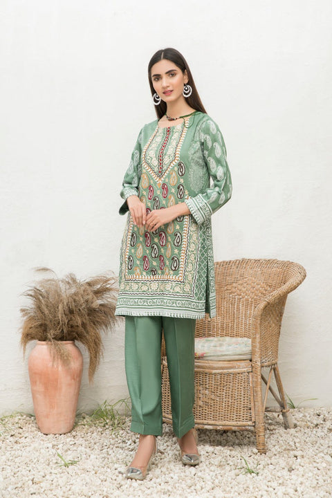 Winter 2 Pcs Linen Embroidered Dress by Hemline 08