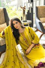 Luxury Ready to Wear Embroidered Satin Collection by Panache 03